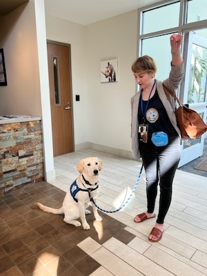 Handler shows off Luna, a service dog in training
