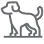Animal Law