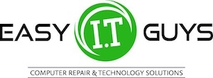 Logo for Easy IT Guys