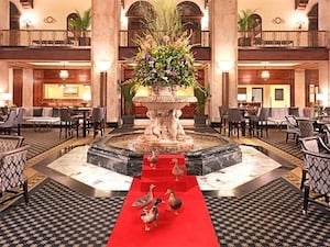 Peabody Hotel duck march to fountain